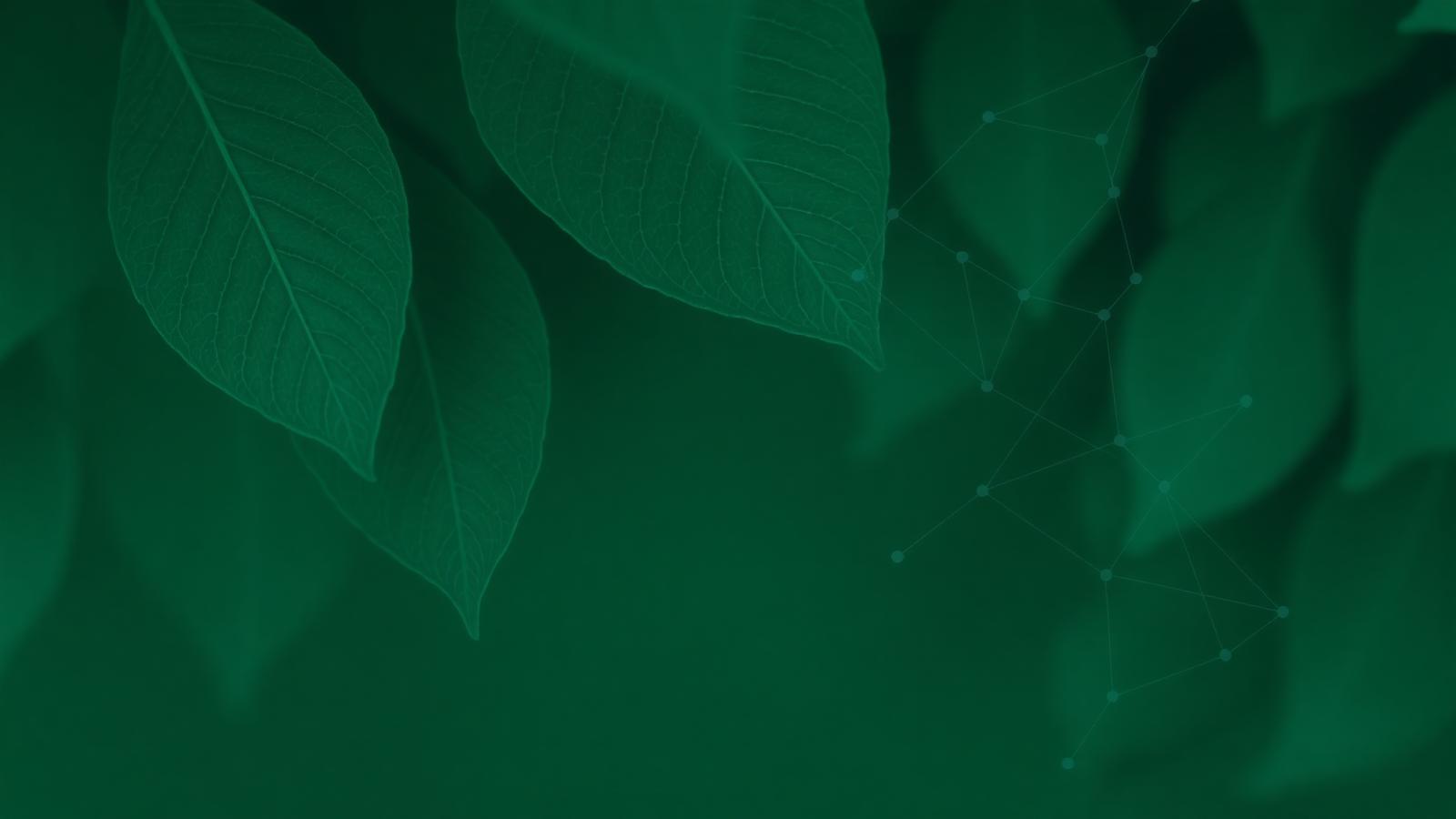 Green botanicals beside laboratory glassware, representing nature and science